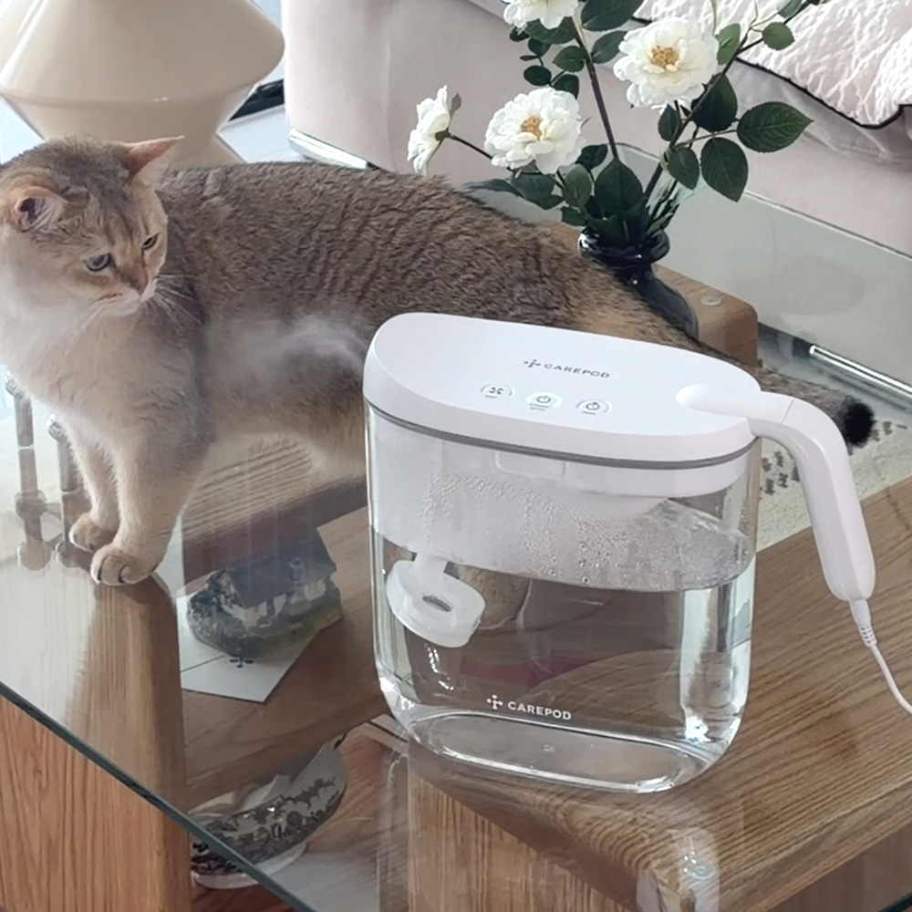 케어팟 미니 제로 사무실 탁상용 신생아 아기 가습기 MS021P 상품 이미지