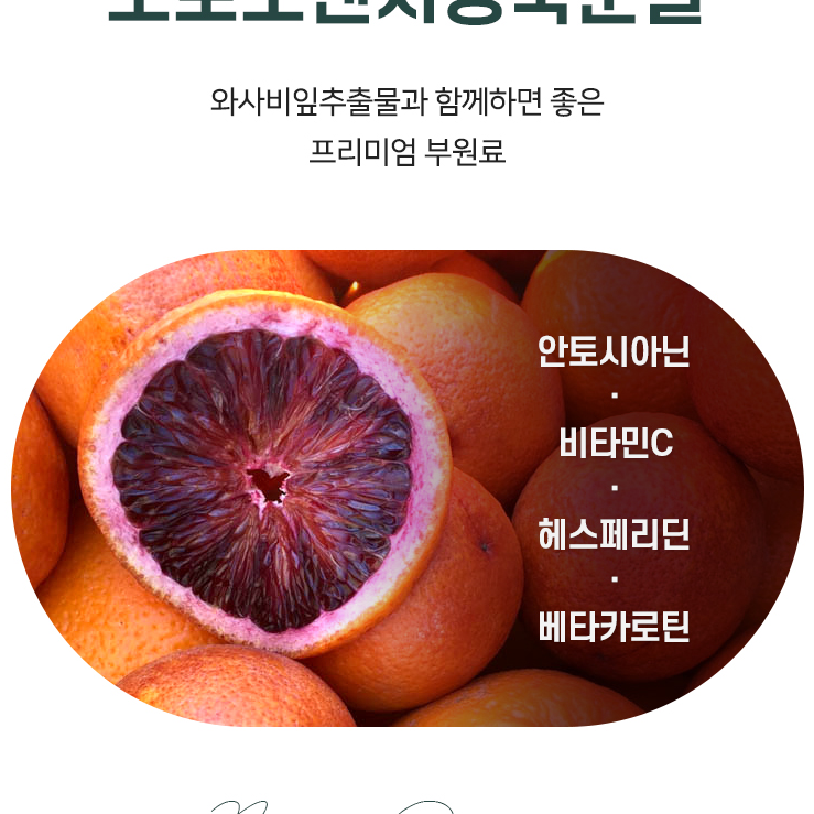국내산 와사비잎추출물 1통 모로오렌지 이미지 8