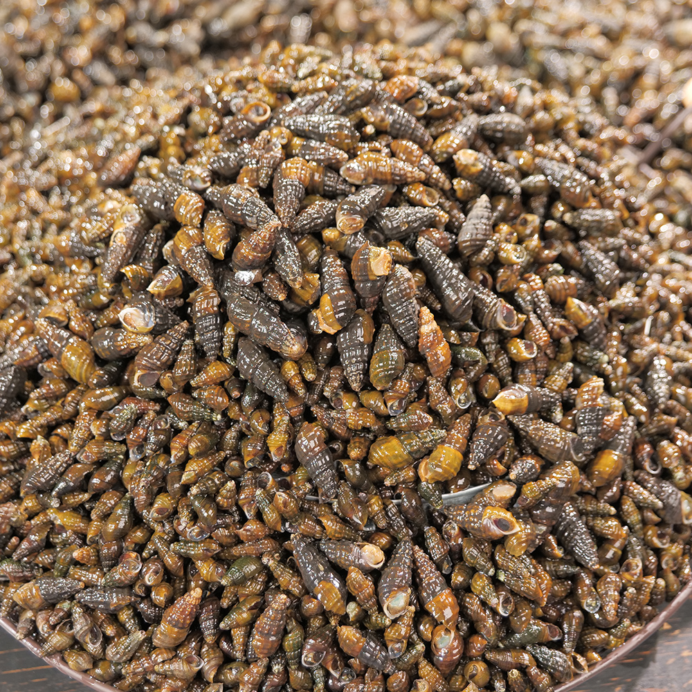 지니라이프 국내산 100% 깐다슬기 가마솥에서 삶은 깊은맛 자연산 다슬기 200g, 5개 이미지 6