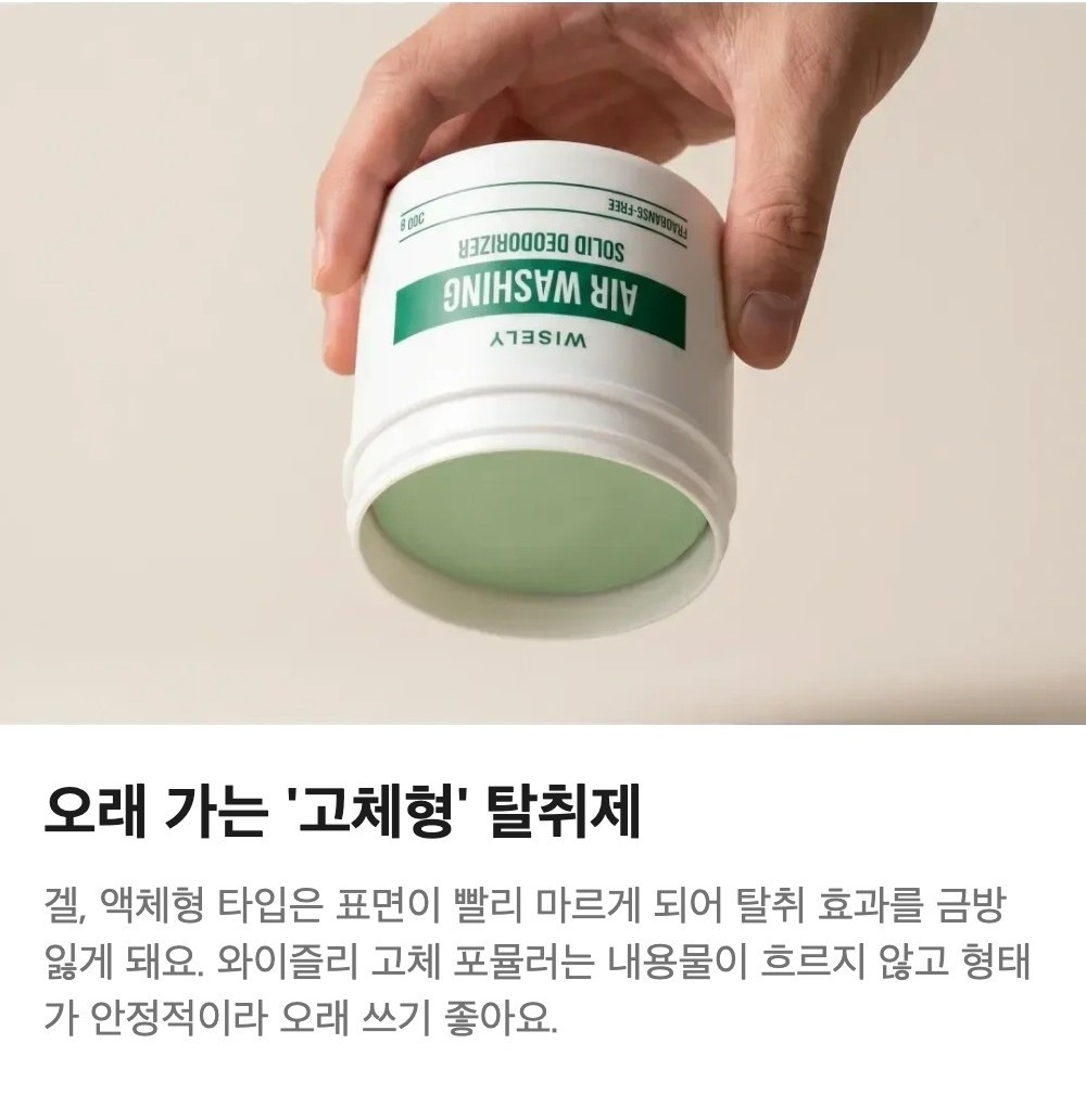 와이즐리 에어워싱 고체 탈취제 그린 포레스트향 그린포레스트, 300g, 3개 이미지 6