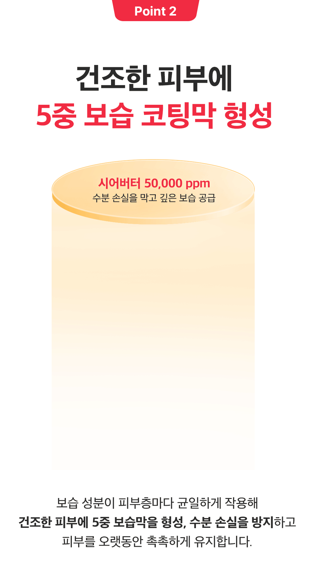 sungboon editor shea butter foot care