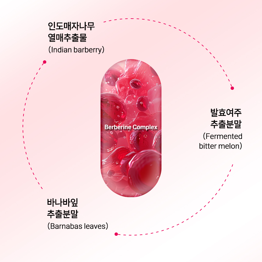베르베린 3통 BERBERINE 매자나무열매 추출물 - 상세 이미지 4