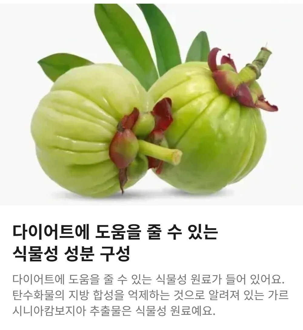 와이즐리 다이어트 슬림카노 60포, 3개 - 상세 이미지 3