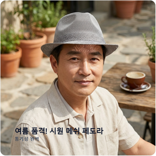 라네이처 중년 남성 여름 메쉬 지사 페도라 중절모 - 상품 이미지