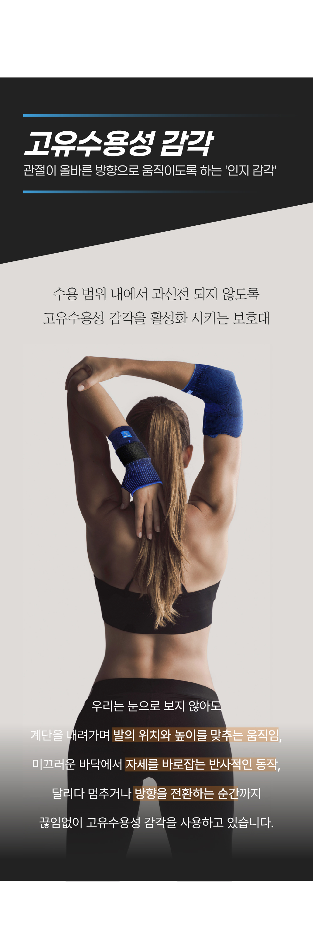 오르텔_C1_아나토믹_(1).jpg (848×2573)