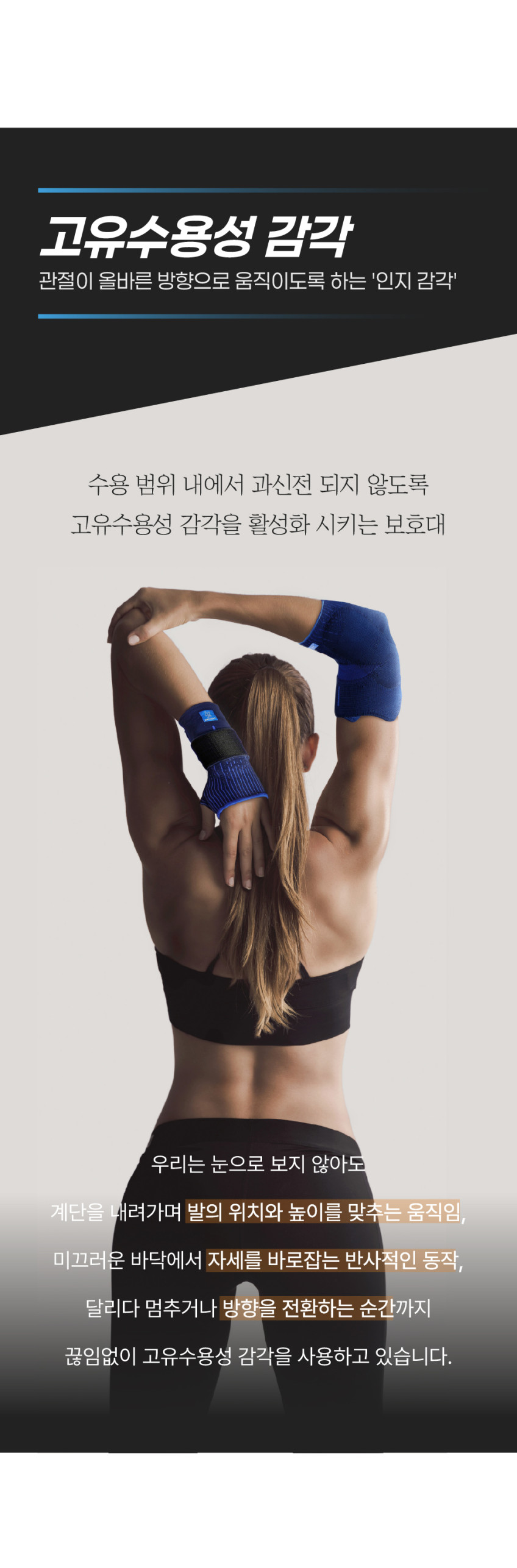 오르텔_C1_아나토믹_(1).jpg (848×2573)