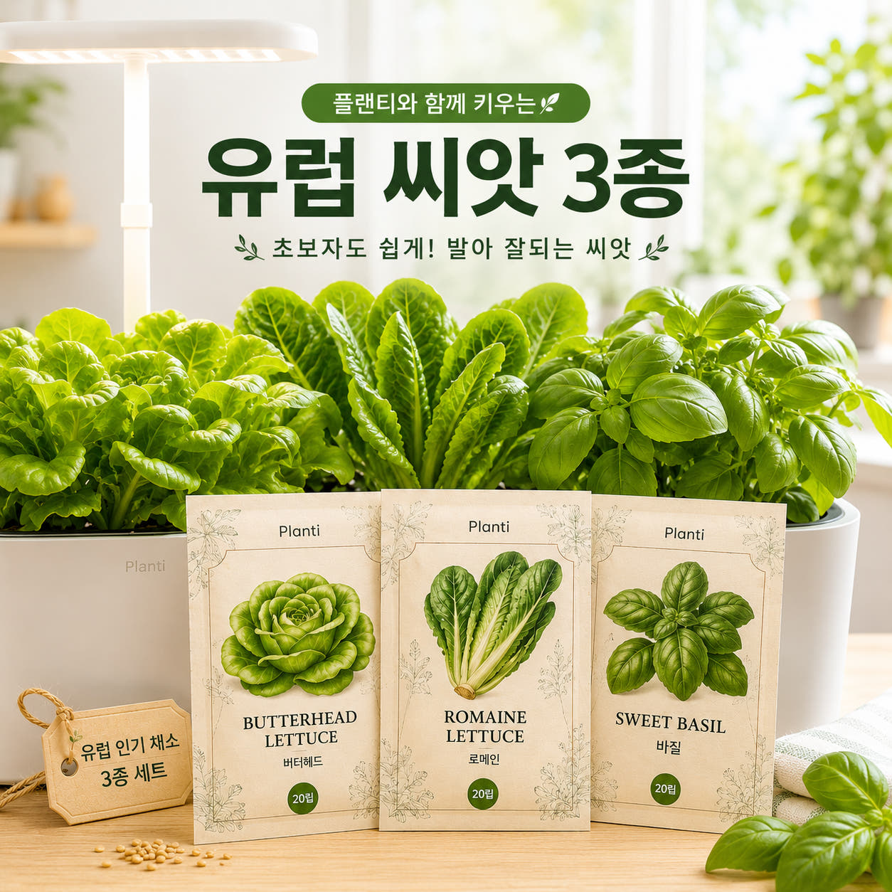 플랜티 유럽상추3종 랜덤발송 30립x3종 소분씨앗 초보자도 쉬운 고기쌈 키우기쉬운 유럽채소 - 상세 이미지 2