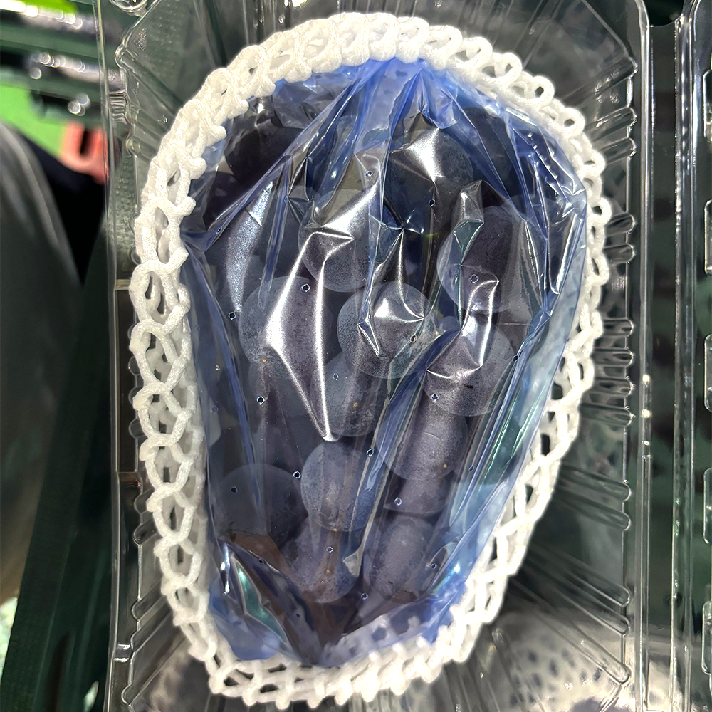 거봉 포도 고당도 프리미엄 거봉포도 1kg, 1개 - 상품 이미지