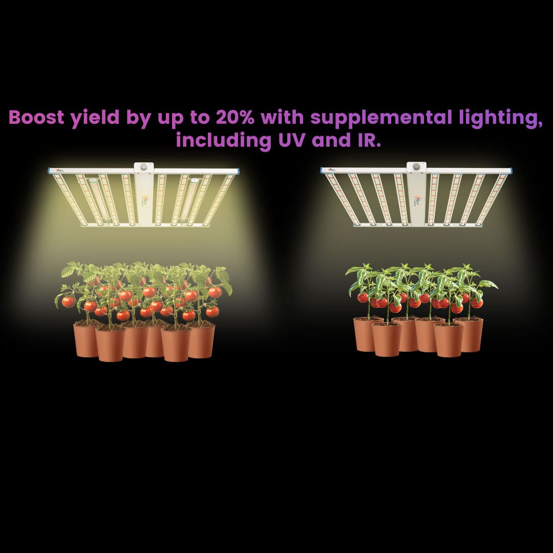 Spectrum Y LED 광량 분포