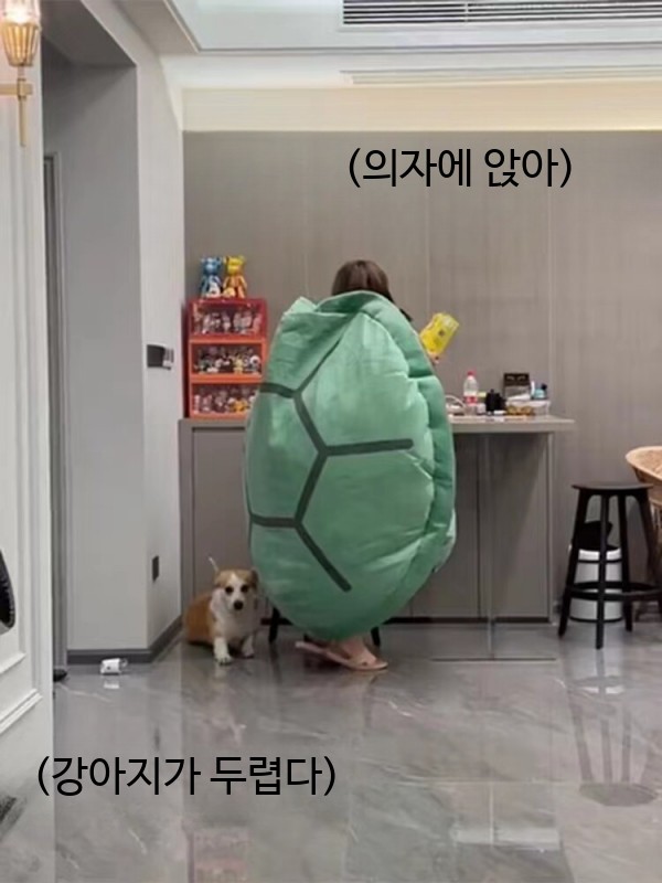 대형 등딱지 거북이 입는 인형 바디필로우 베개 쿠션 - 상세 이미지 5