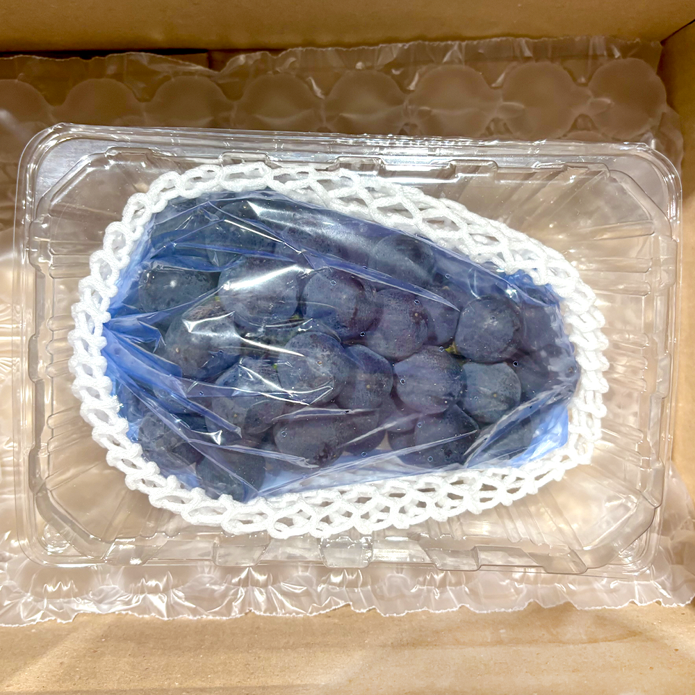 거봉 포도 고당도 프리미엄 거봉포도 1kg, 1개 - 상세 이미지 2