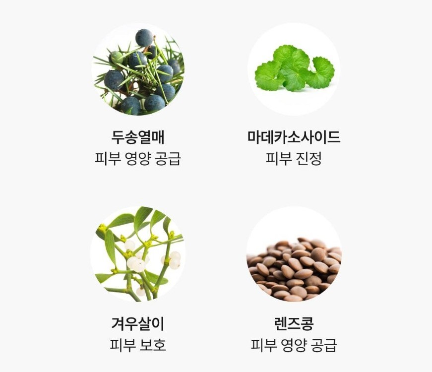 와이즐리 피지 쏙쏙 워시오프 모공팩 120g, 2개 이미지 8