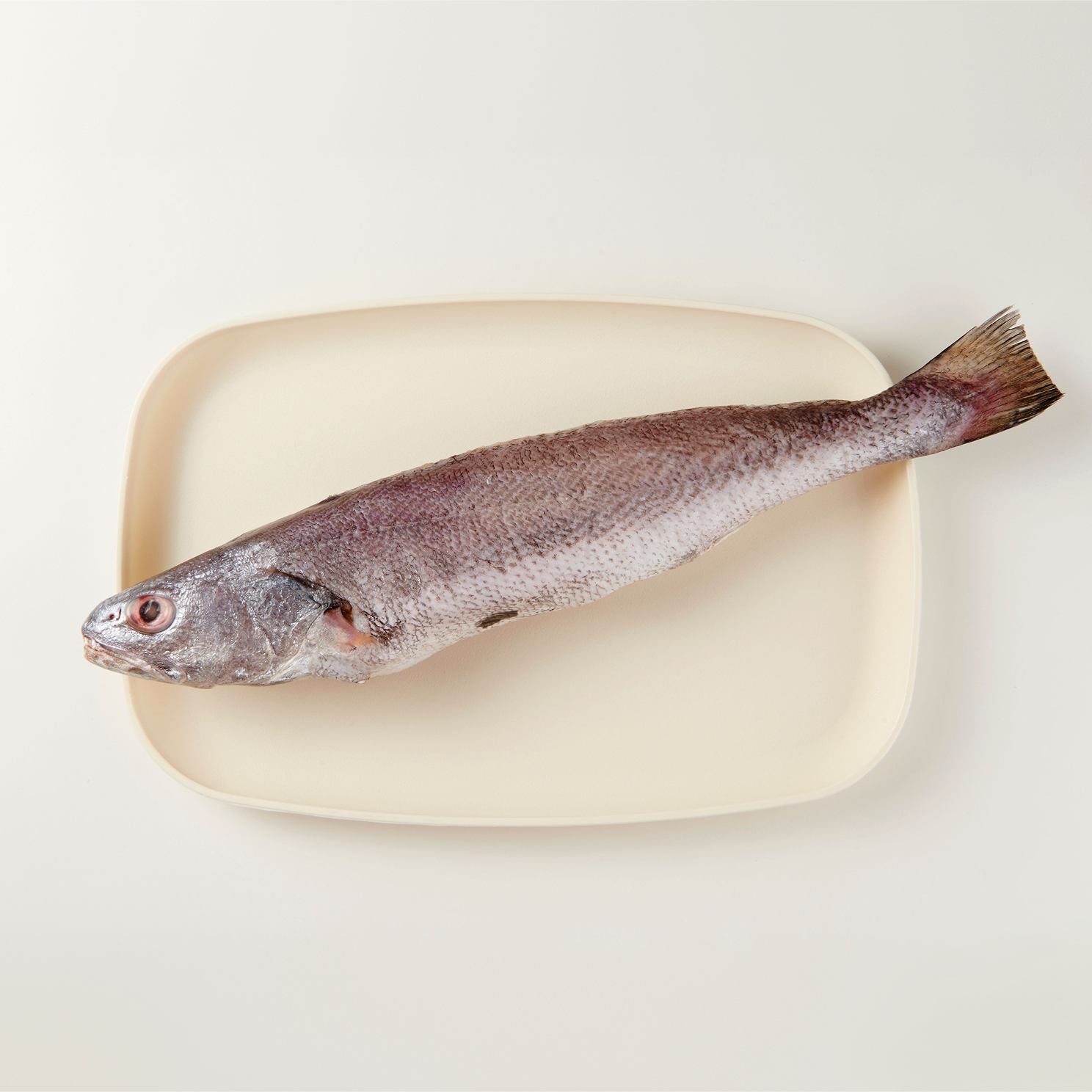 제주 손질 민어 350g 통치 급랭 민어탕 - 상품 이미지