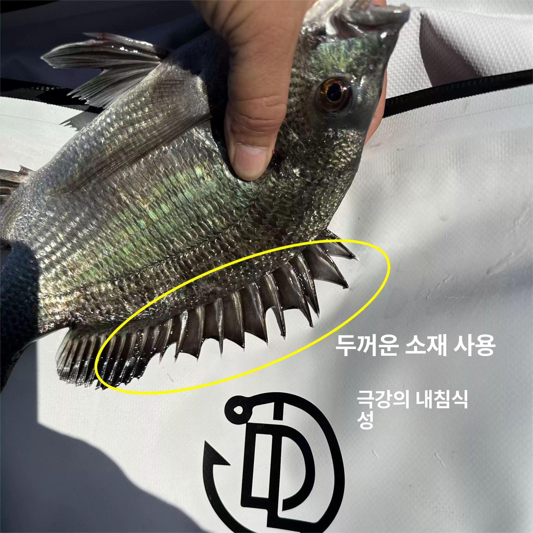 낚시용 소프트 휴대용 보온 보냉 낚시 화이트 20L 58x25x35cm - 상세 이미지 3
