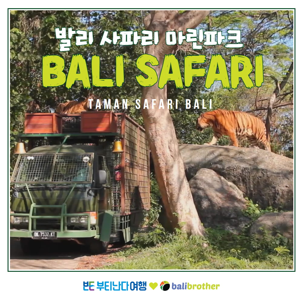 [발리] 사파리 마린파크 입장권 - 정글호퍼 드래곤 나이트 리노 사파리 중 선택 - 상품 이미지