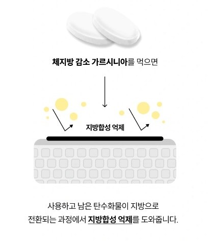 와이즐리 체지방 감소 가르시니아 120정, 3개 이미지 7