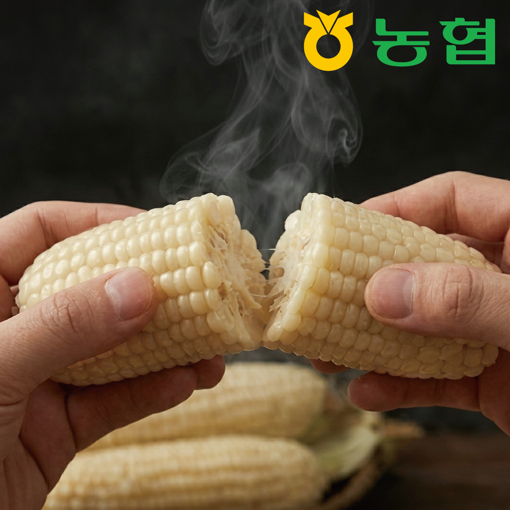[농협직송] 토해원 괴산 대학찰옥수수 쫀득한 햇옥수수 10개 20개 30개 특품 17cm - 상품 이미지