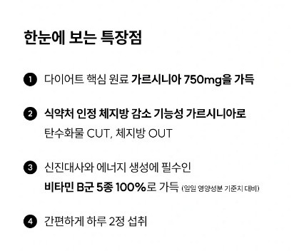 와이즐리 체지방 감소 가르시니아 120정, 3개 - 상세 이미지 4