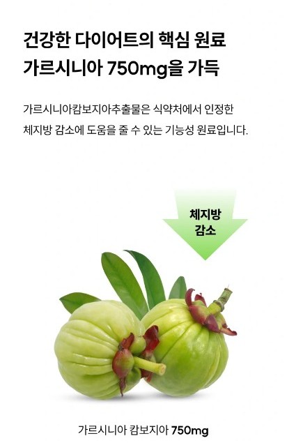 와이즐리 체지방 감소 가르시니아 120정, 3개 - 상세 이미지 5