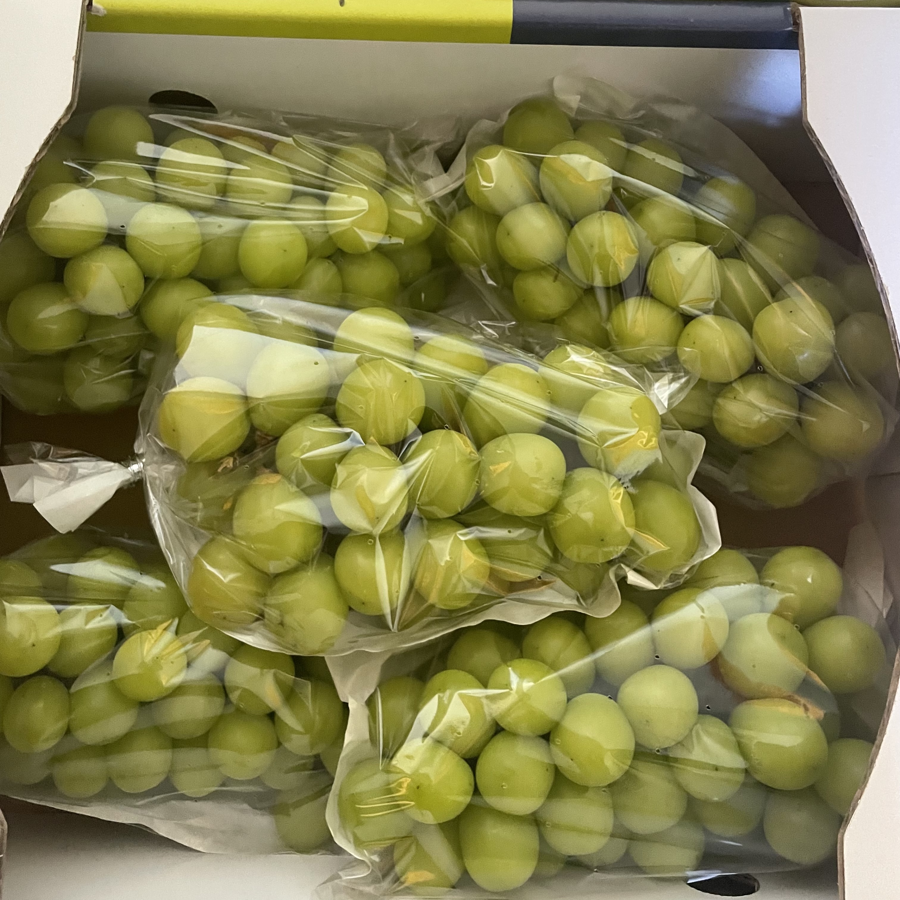 에어포장 영천 샤인머스캣 씨없는 청포도 샤인머스켓 3수, 2kg, 1개 - 상세 이미지 2