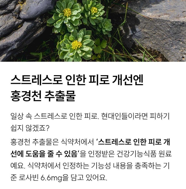 와이즐리 체지방 컷 레드 PRO 60정, 3개 이미지 7