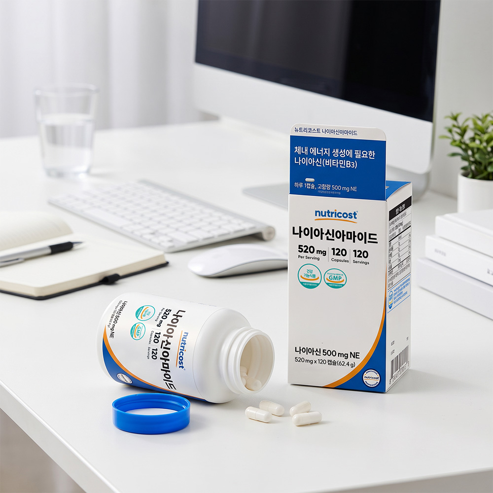 뉴트리코스트 비타민B3 나이아신아마이드 500MG 캡슐 240캡슐, 1개 이미지 6