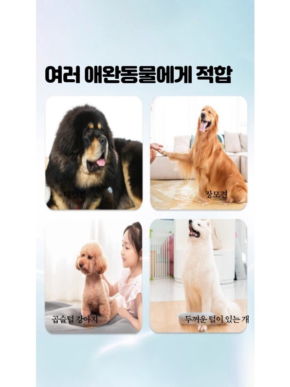 건조기 강아지 고양이 발바닥 관리 발털 정리 셀프 진공 골든리트리버 보더콜리 블루 - 상세 이미지 5
