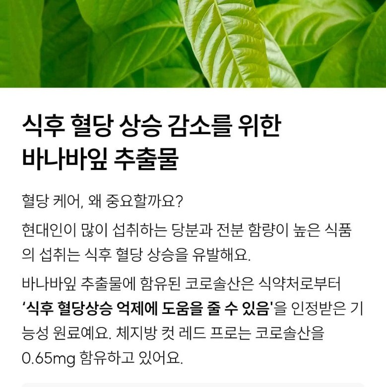 와이즐리 체지방 컷 레드 PRO 60정, 3개 이미지 6