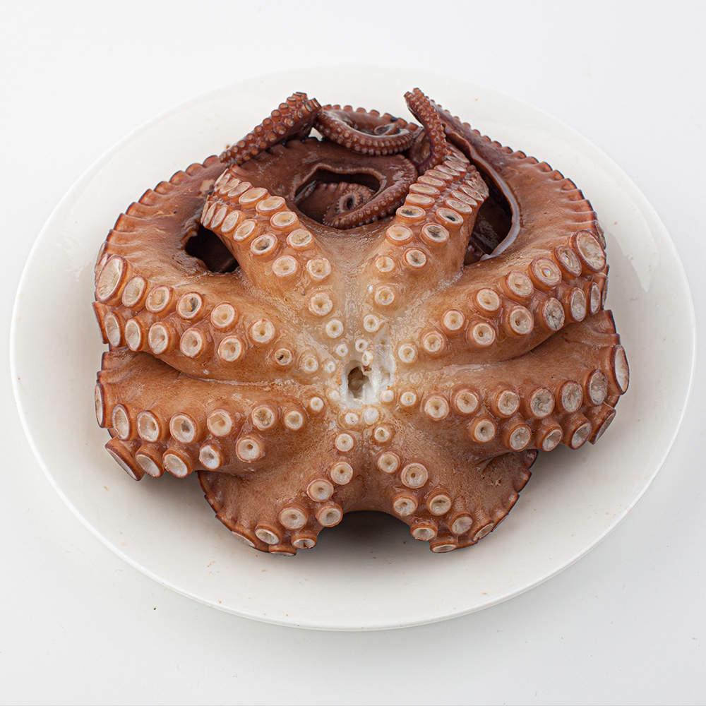 토해원 통영 자연산 활 돌문어 당일조업 산지직송 1kg 2kg 3kg 키로당 1-3미 내외 - 상품 이미지