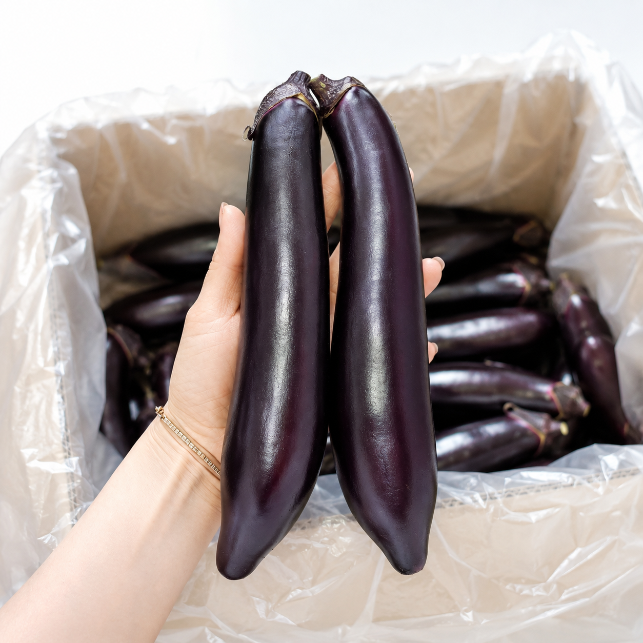 토해원 국내산 가정용 가지 신선한 가지 1kg 4-8개입 2kg 8-15개입 - 상품 이미지