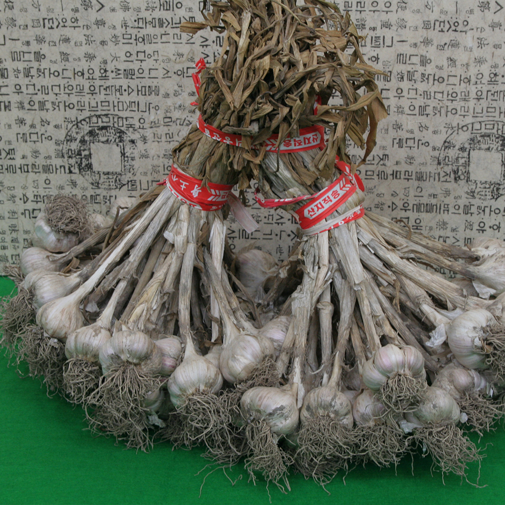 토해원 국내산 의성육쪽마늘 산지직송 대과 반접 한접 1.7kg 3.3kg - 상세 이미지 2