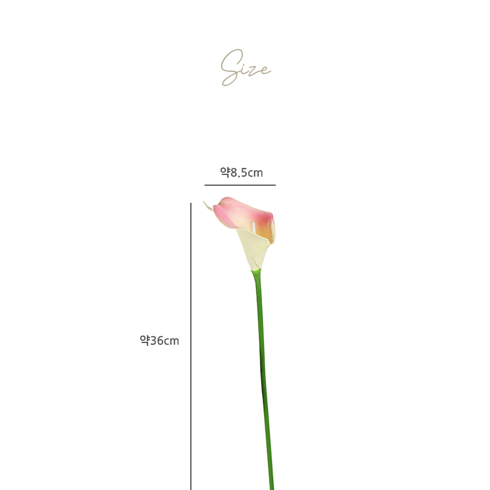 우아한디자인인테리어용카라조화 홈데코감성실내장식카라꽃 공간장식꽃꽂이 - 상세 이미지 4