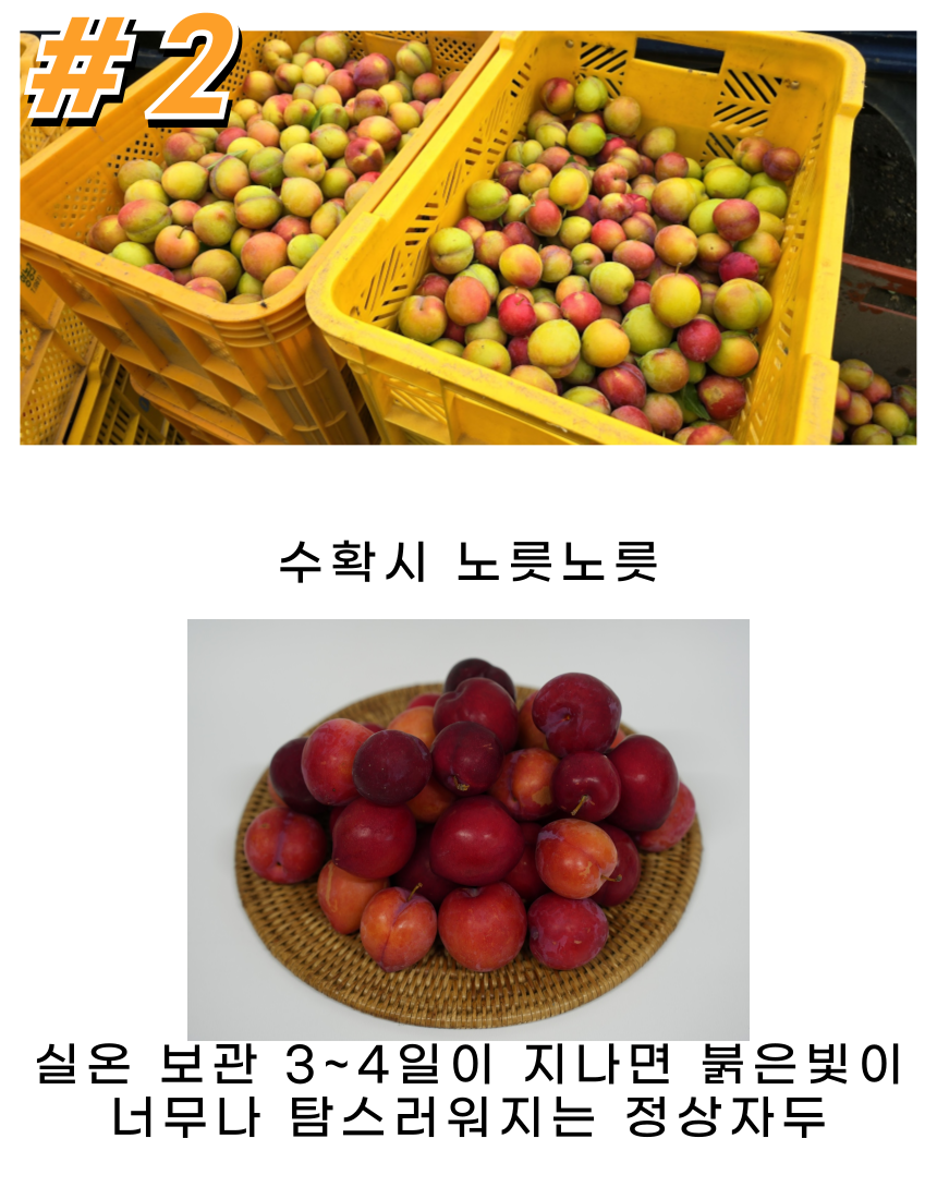 상세 3