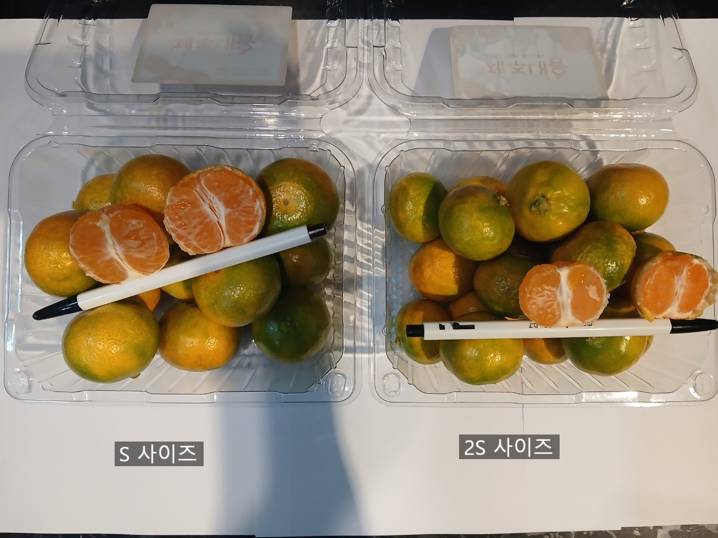 윗집아들네 제주 하우스귤 감귤 1kg (S~2S) (500g x 2팩) 이미지 6