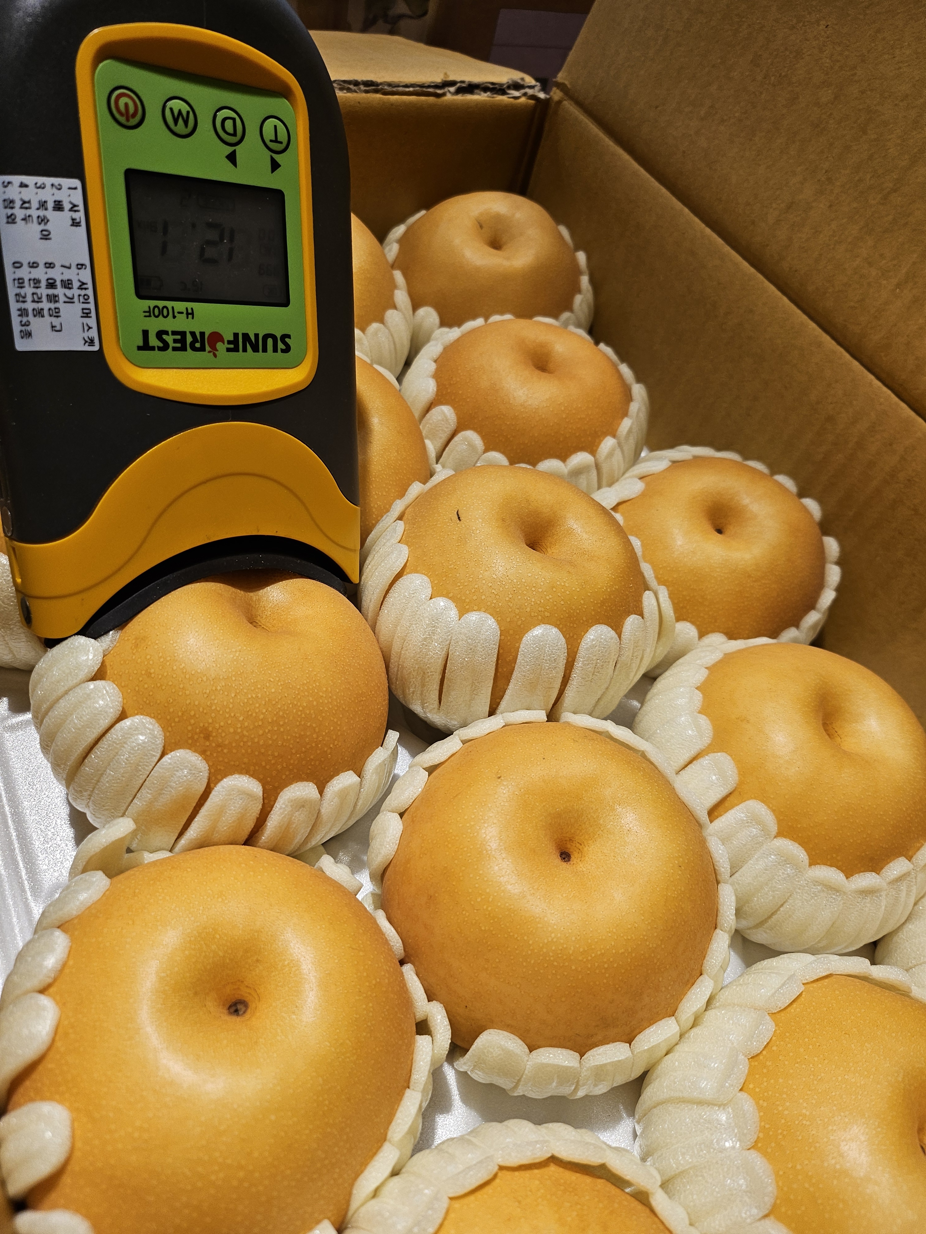 윗집아들네 프리미엄 고당도 배 15kg (26~30입) - 상세 이미지 3