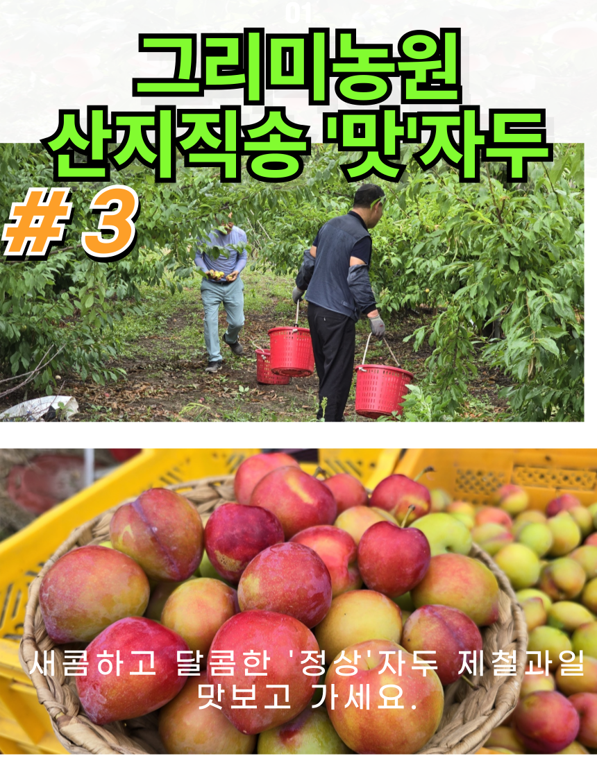 상세 4