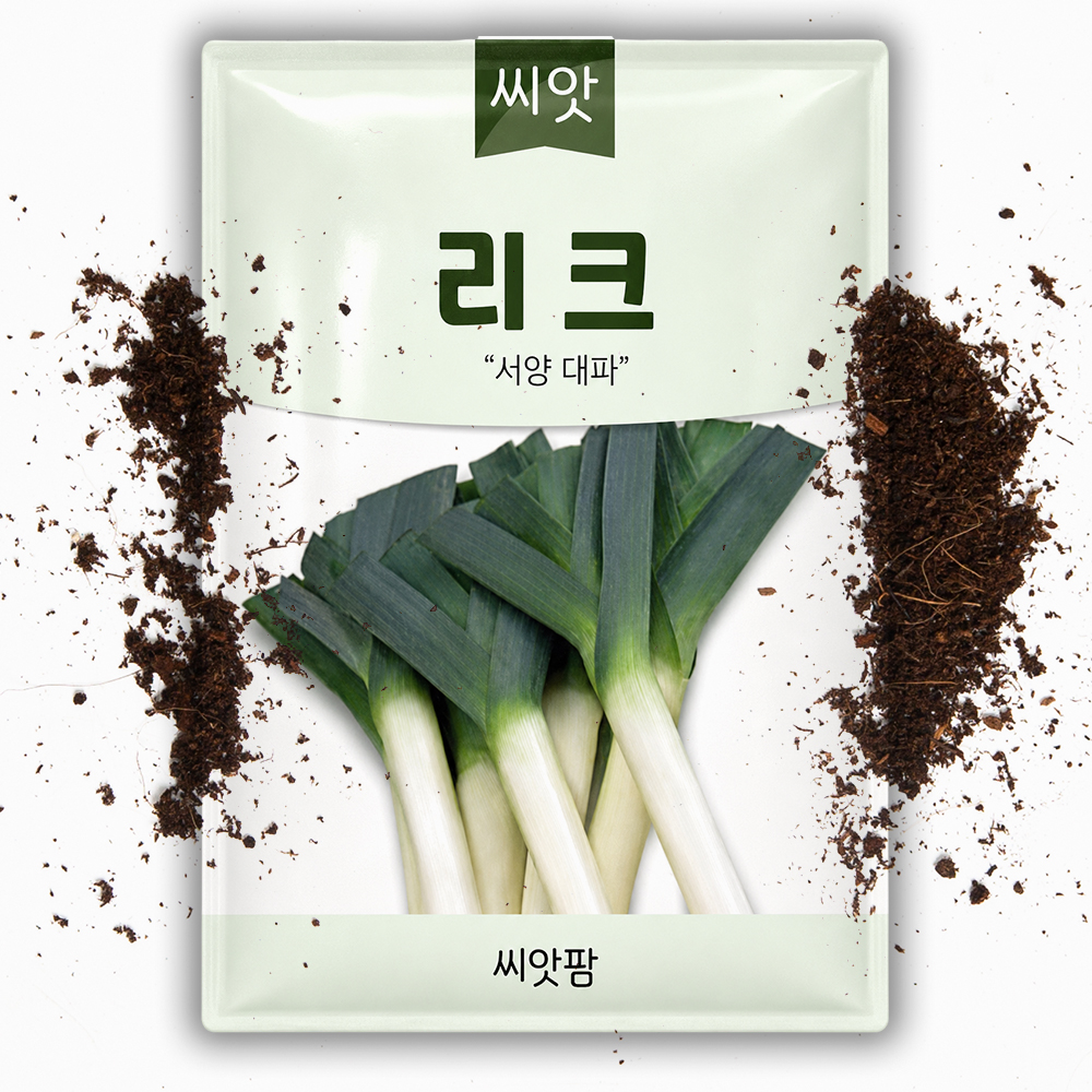리크 LEEK 씨앗 10g 서양대파  리이크 씨앗 종자 - 상품 이미지
