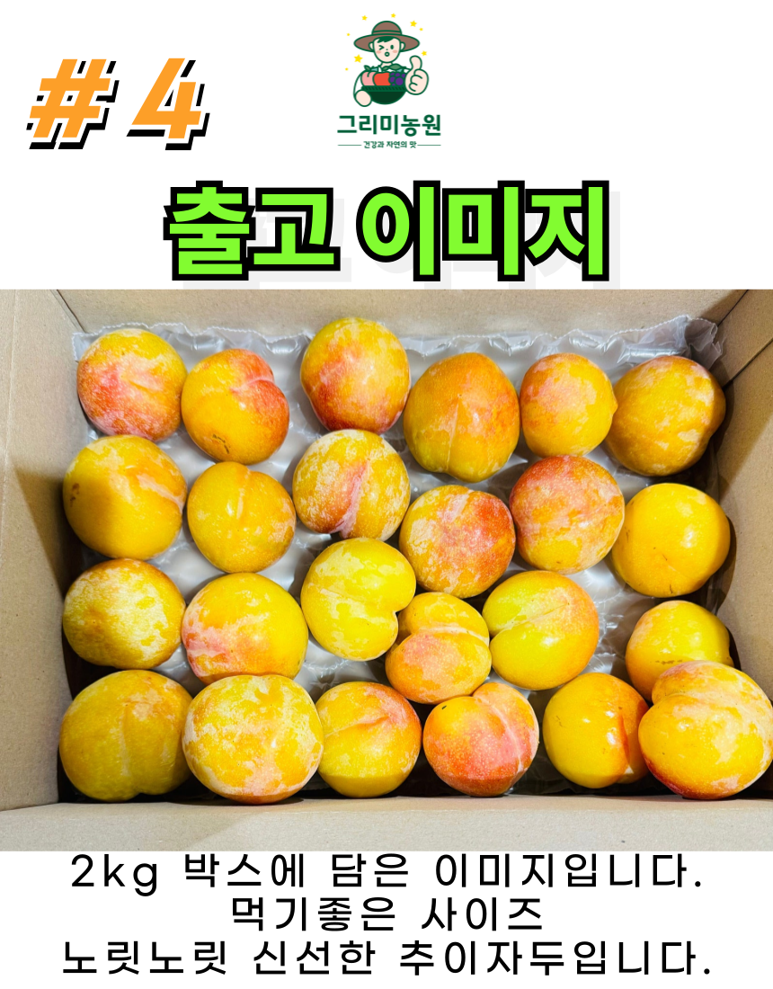 상세 5