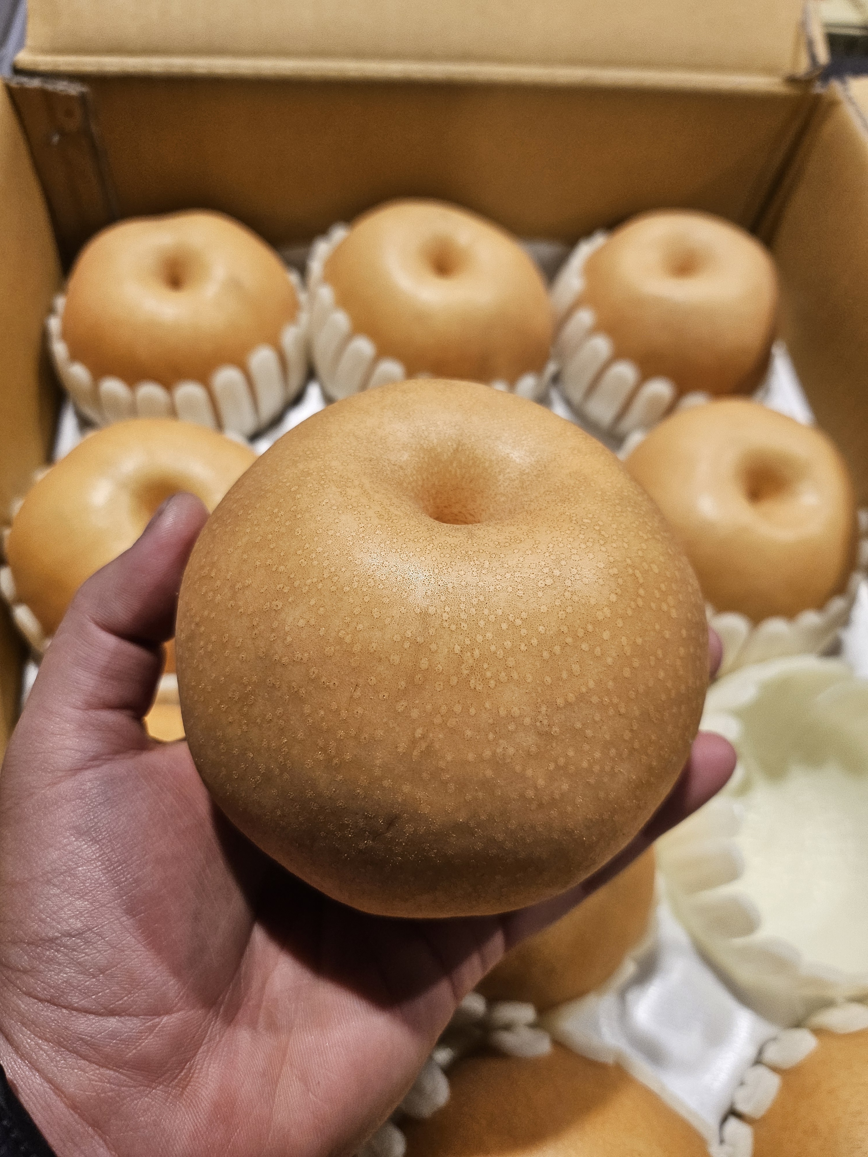 윗집아들네 프리미엄 고당도 배 15kg (26~30입) - 상세 이미지 2