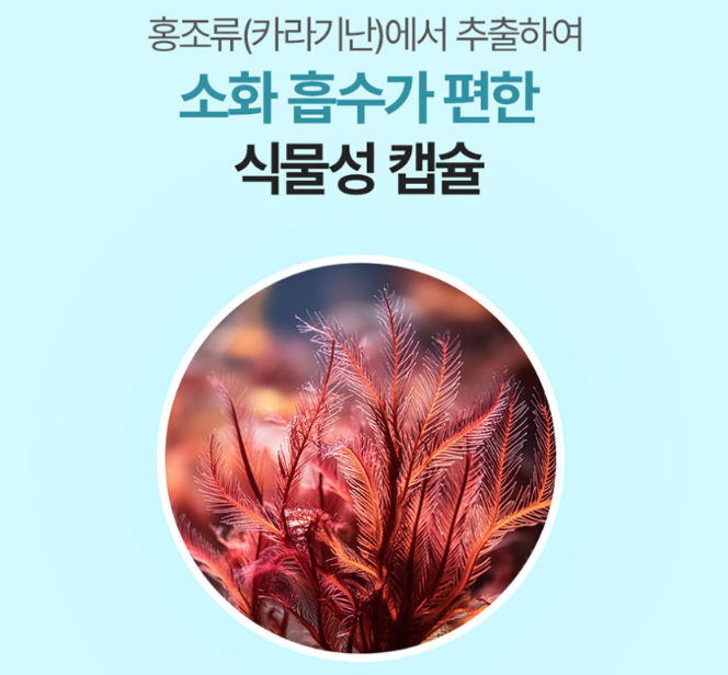 대웅제약 알티지오메가3 혈행개선 RTG 혈액순환 항산화 DHA 비타민 EPA - 상세 이미지 4