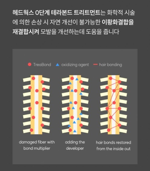 와이즐리 0단계 트리트먼트 모발강화제 손상 모발용, 100ml, 3개 - 상세 이미지 4
