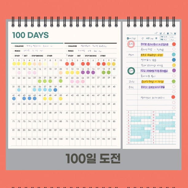 2027년 탁상달력 2027 책상달력 27년 스케줄 데스크캘린더 듀얼 스터디 하반기 - 상세 이미지 4