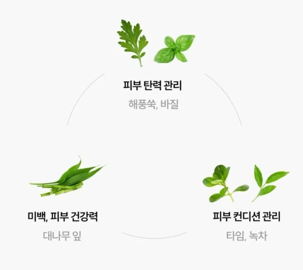 와이즐리 올인원 밀키 로션 200ml, 3개 - 상세 이미지 4