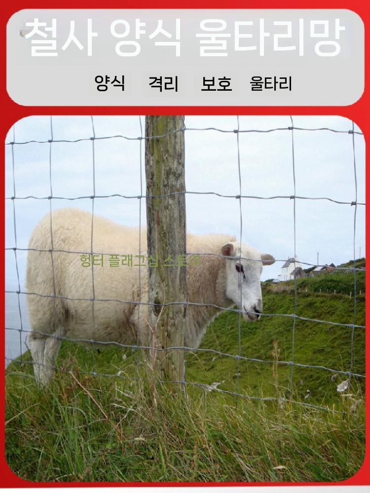 메쉬 울타리 휀스망 그물망 철조망 닭장 담장 난간 구멍 25cm 높이 1.0mx길이 50m - 상세 이미지 5