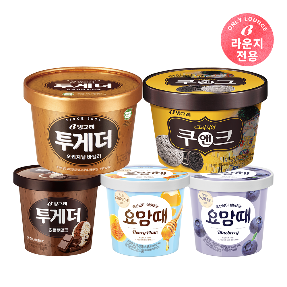 [라운지 전용] 빙그레 아이스크림 파인트 세트(총 5개) - 상품 이미지