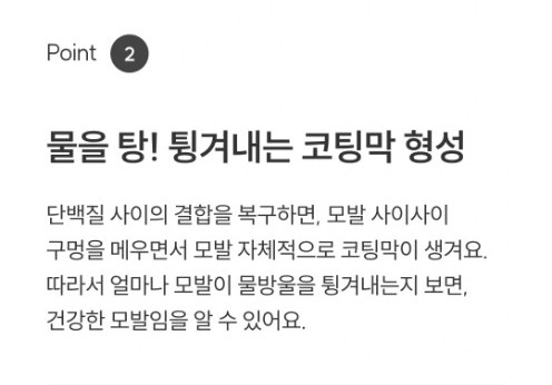 와이즐리 0단계 트리트먼트 모발강화제 손상 모발용, 100ml, 3개 이미지 6