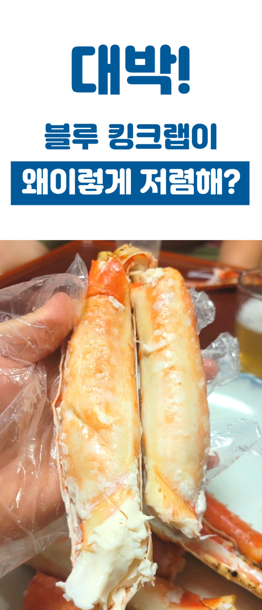 프리미엄 킹크랩 1마리 선어 자숙 러시아 브라운 레드 킹크랩 시세 싯가 판매처 상세 정보 이미지 3