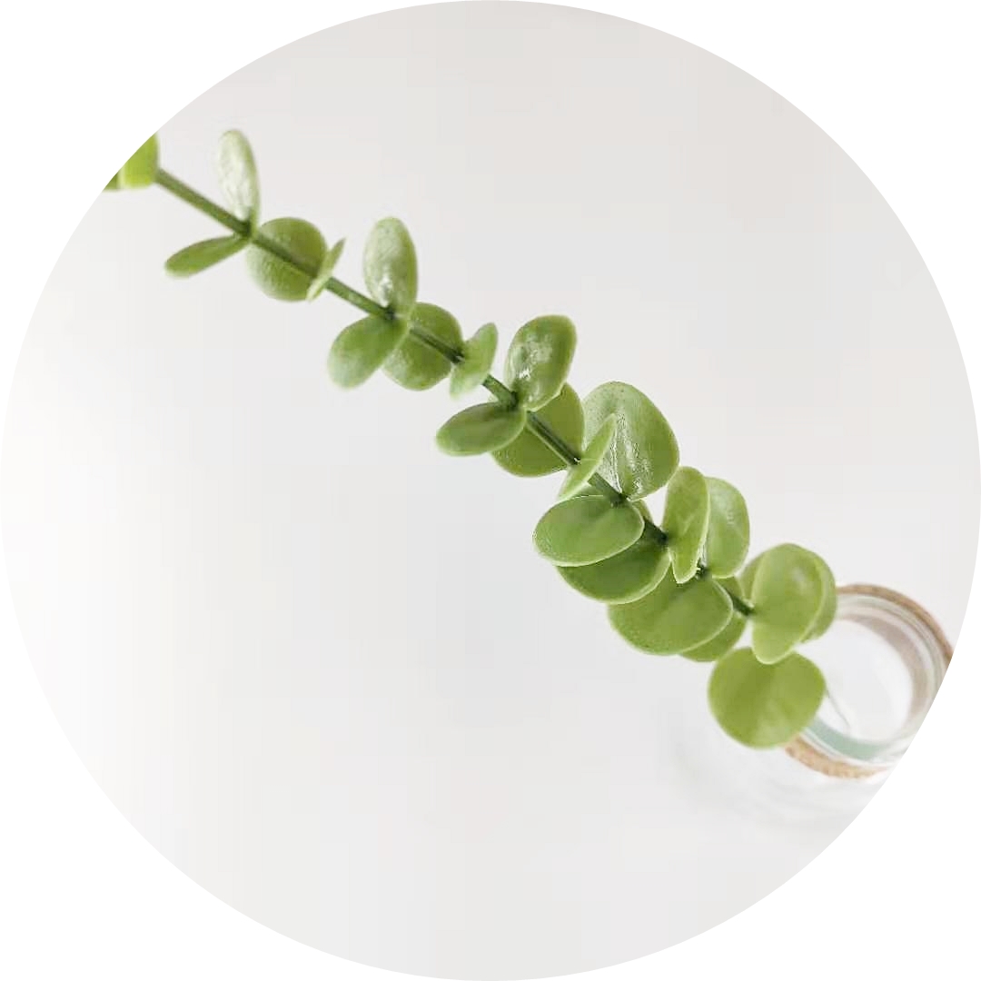 가더GADE M5 유칼립투스 가지 37cm 인테리어조화 플라워 플랜트 리스재료 촬영소품 성묘꽃 - 상세 이미지 2