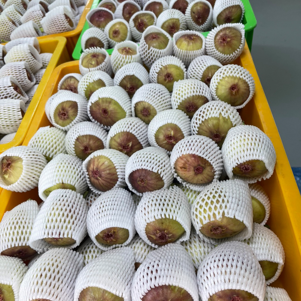 2026 햇 GAP 함평 홍무화과 고당도 제철 생과 산지직송 500g 1kg 2kg - 상세 이미지 5