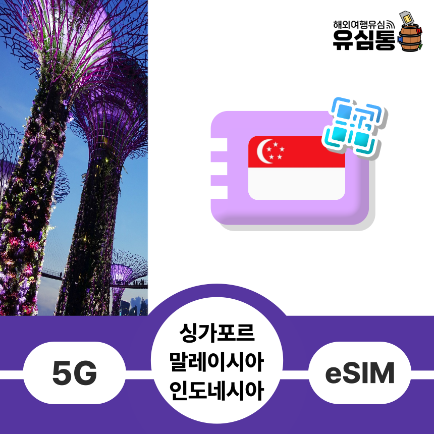 싱가포르 말레이시아 인도네시아이심 eSIM 발리 코타키나발루 1일 매일 1GB e심 - 상품 이미지